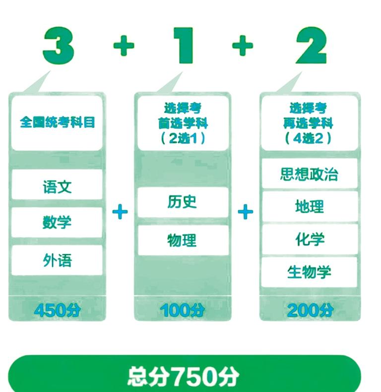 新澳2025正版资料免费公开|精选解释解析落实