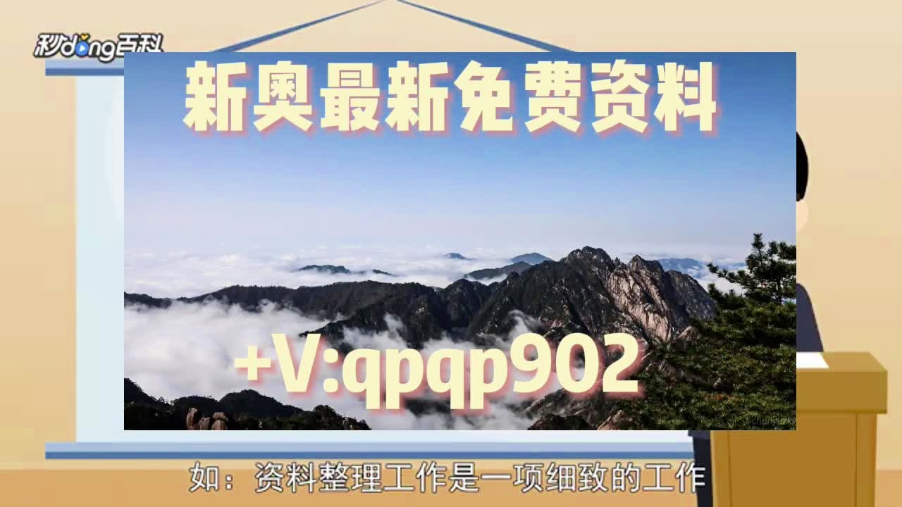 新奥门资料大全正版资料查询,新澳门资料大全正版资料查询，探索与理解