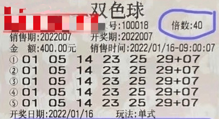 新澳门今晚开特马开奖2025年11月,新澳门今晚开特马开奖，探索彩票背后的故事与期待（2025年11月）