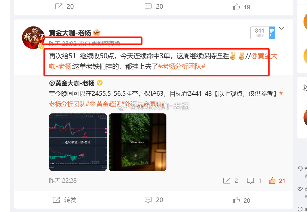 精准一肖一码100,精准一肖一码，揭秘预测技巧与成功概率的奥秘（不少于1688字）