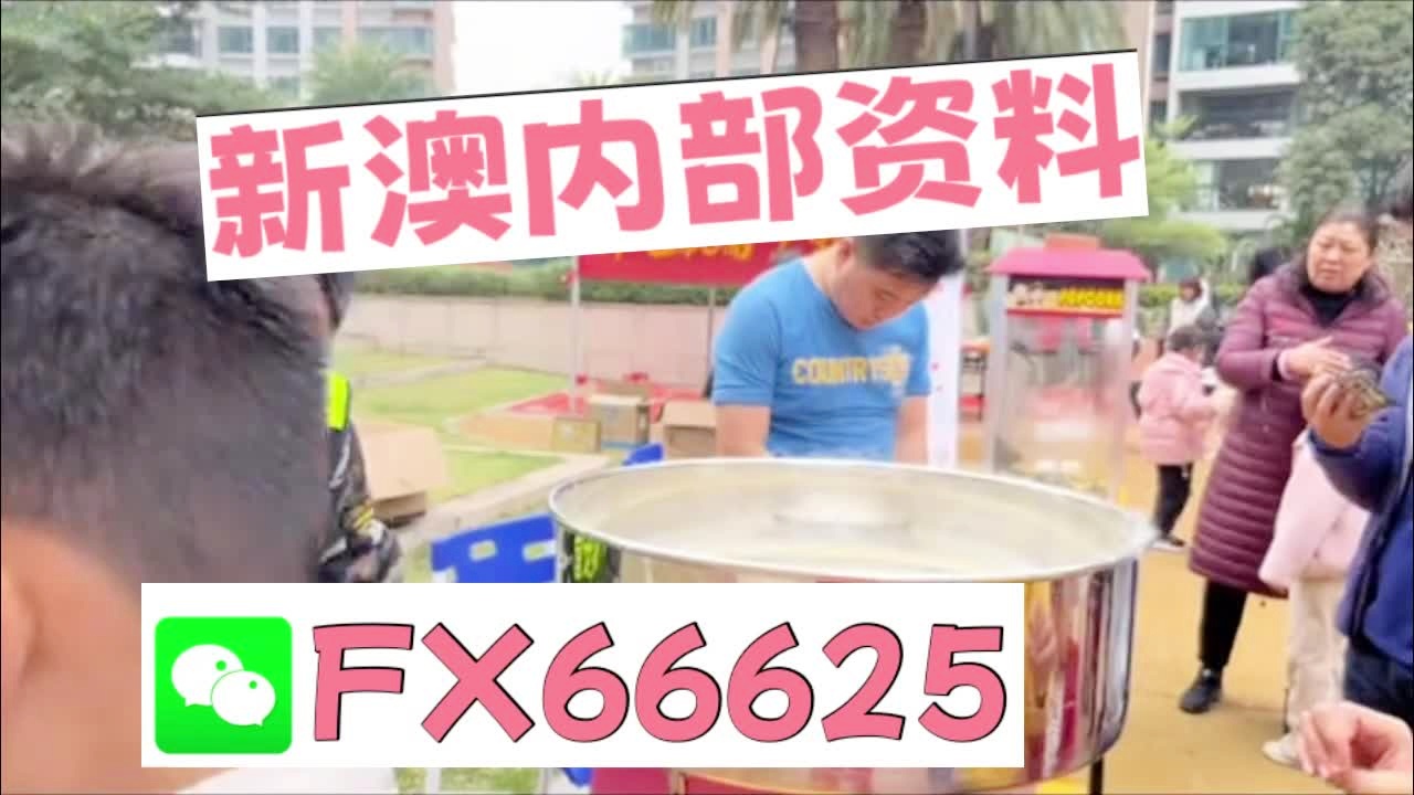 新澳天天开奖资料大全038期,新澳天天开奖资料大全第038期详解